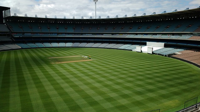 证明了他们 证明了他们