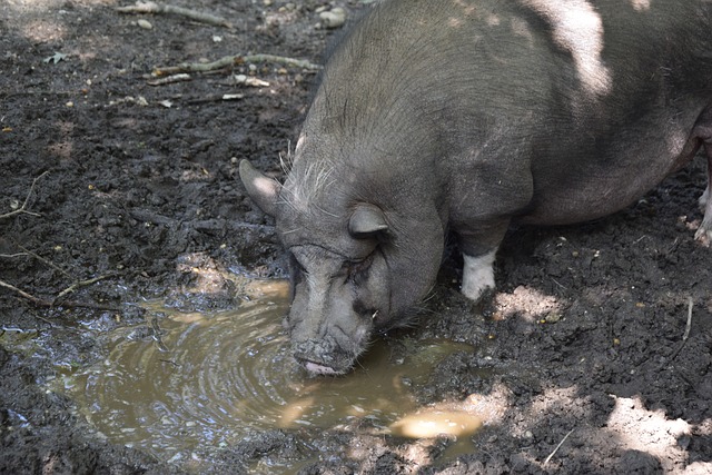 及兴趣爱好 及兴趣爱好