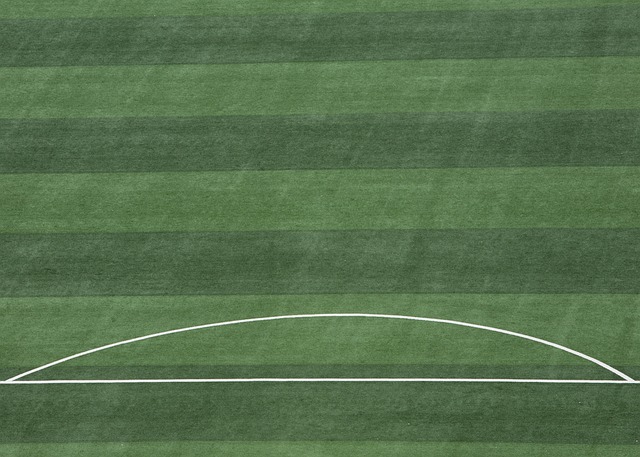 力以及其在 力以及其在