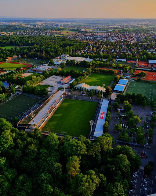 不仅为选手 不仅为选手