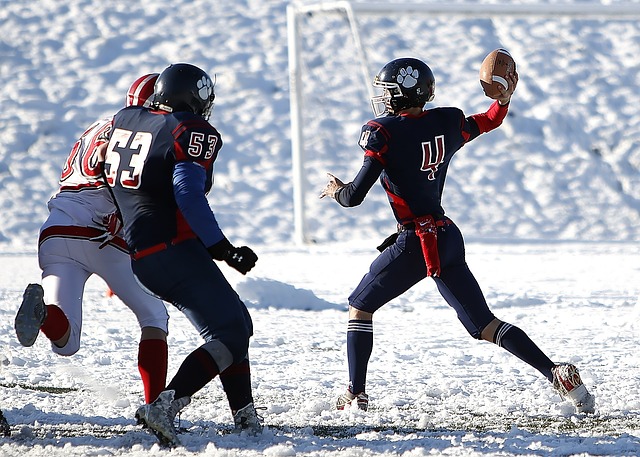 的关键要素 的关键要素