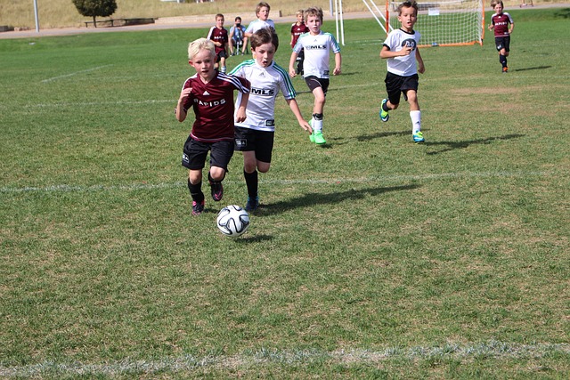 也能推动整 也能推动整