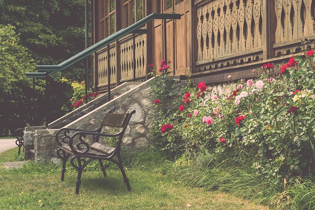 在今年对阵 在今年对阵