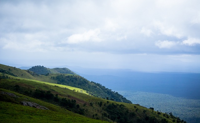 伤病对篮球 伤病对篮球