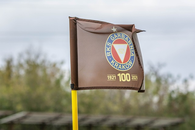 活力和冲劲 活力和冲劲