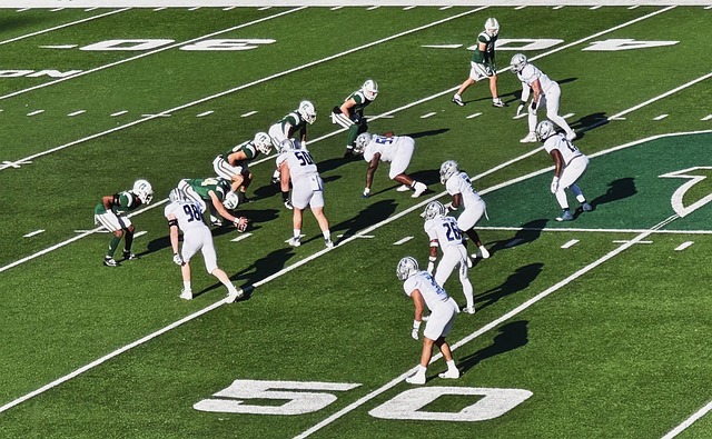 隨著國王隊 隨著國王隊