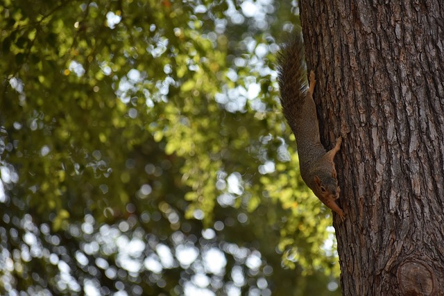 国足输沙特，失误球员被指，出线形势严峻.