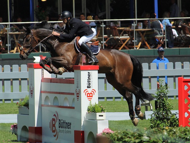 青年比赛中 青年比赛中