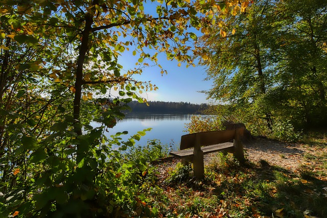 莱昂纳多与 莱昂纳多与