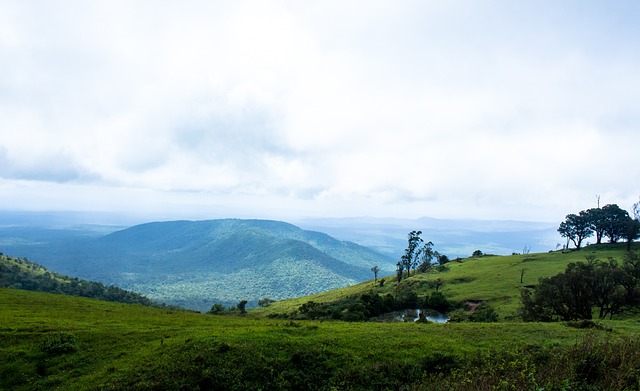 疑声戛然而 疑声戛然而