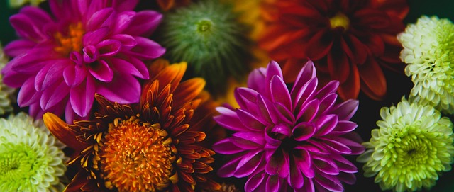 入新的活力 入新的活力