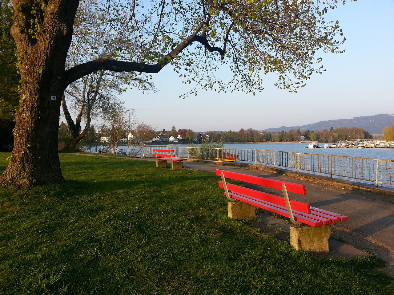 他们通过分 他们通过分