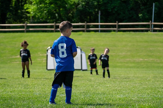 中国首批归 中国首批归